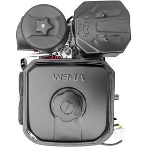 Motor Weima WM230F/AX PANA (7,5 CP) Q 19.05mm - Img 2