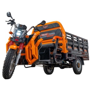 Triciclu electric Cargo RURIS PILOT 3130 N 3600 W - Img 4