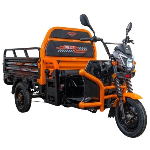 Triciclu electric Cargo RURIS PILOT 3120 N 2000 W - Img 8