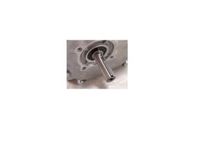Motor Weima WM230F/AX PANA (7,5 CP) Q 19.05mm - Img 3
