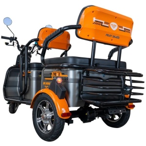 Triciclu electric Cargo RURIS PILOT 3040 G 2000 W - Img 2