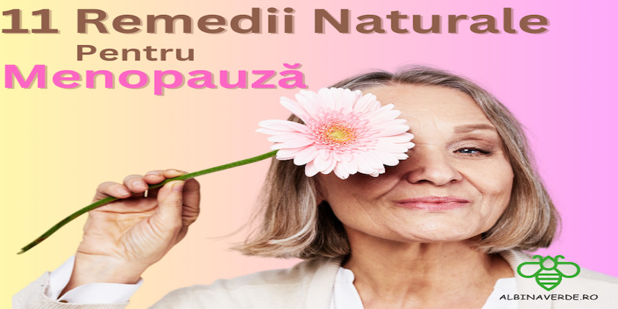 11 Remedii Naturale Pentru Menopauză