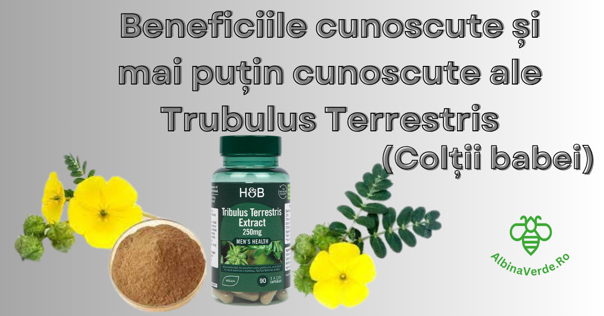 Beneficiile Cunoscute și Mai Putin Cunoscute ale Tribulus Terrestris