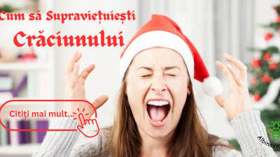 Cum să Supraviețuiești Crăciunului
