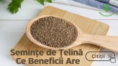 Semințe de Țelină - Ce Beneficii Are