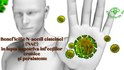 Beneficiile N-acetil cisteinei (NAC) în lupta împotriva infecțiilor cronice și persistente