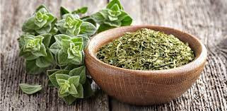 Oregano Salbatic - Beneficii si Cum sa Folosesti