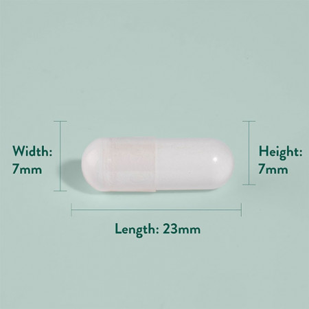 H&amp;B Saw palmetto (Fructe de Palmier Pitic) cu Zinc 60 capsule - Img 4