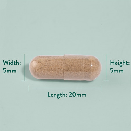 H&amp;B Gheara-mâței (Cat&#039;s Claw) 90 capsule capsula