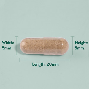 H&B Gheara-mâței (Cat's Claw) 90 capsule capsula