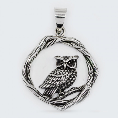 Pandantiv argint unisex Owl Nest