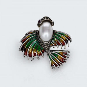 Brosa multicolora pearl fish