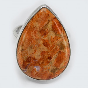 Inel Argint Coral Spongios Aqil
