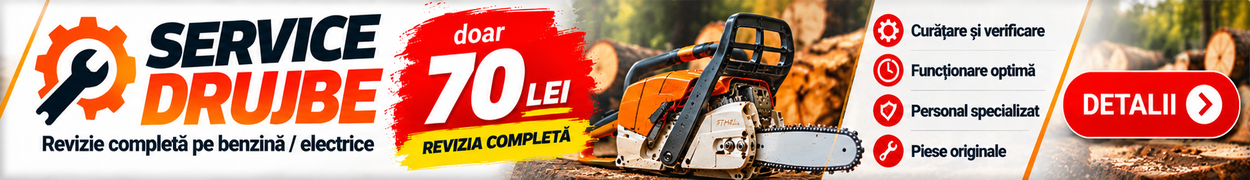 Service drujbe - Revizie 70 lei - Apasa pentru detalii