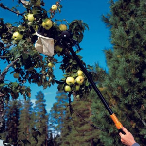 Culegator fructe Fiskars cu prelungitor telescopic - Img 4