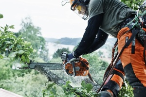Drujba Husqvarna T540 XP® II - Img 3