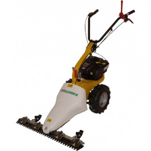 Motocositoare ProGarden M210 motor Briggs&Stratton - Img 5