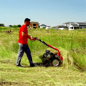 Multifunctional Bisonte BTA-MF360 - Img 2
