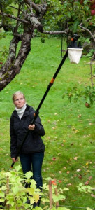 Culegator fructe Fiskars cu prelungitor telescopic