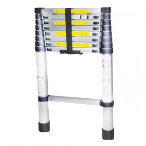 Scara telescopica de aluminiu, 9trepte, 2.6m, Bisonte, STR1026 - Img 4