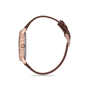 Ceas pentru dama, daniel klein premium, dk.1.12525.3