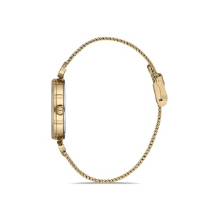 Ceas pentru dama, daniel klein trendy, dk.1.12929.2