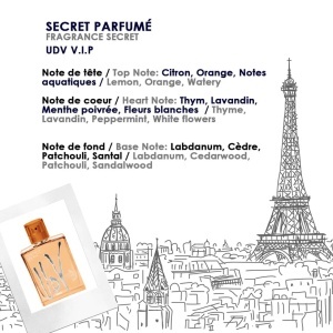 Set cadou UDV VIP 100 ml Apa de Toaleta si Deo Spray 200 ml - Img 3