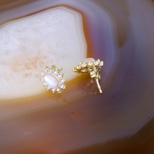Cercei Breastmilk din Argint Placat cu Aur completati cu Cristale Zirconia c4118