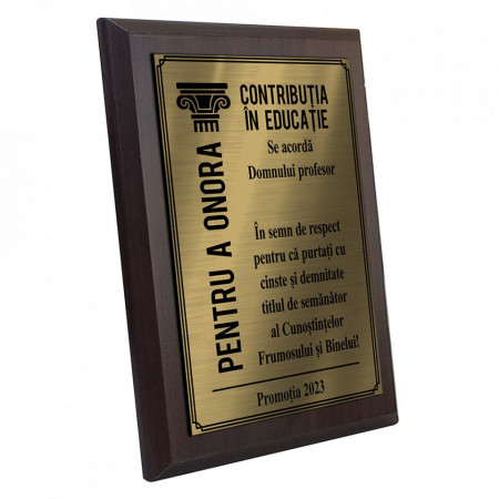 Teacher Gold Diploma Plaque - Img 3