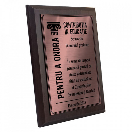Bronze Teacher Diploma Plaque - Img 3