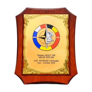 Customizable plaque