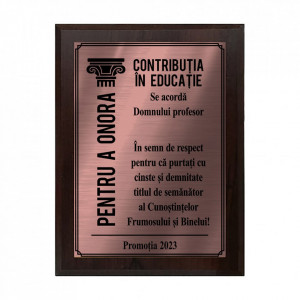 Placheta Diploma Bronz Profesor - Img 1
