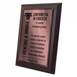 Placheta Diploma Bronz Profesor - Img 2