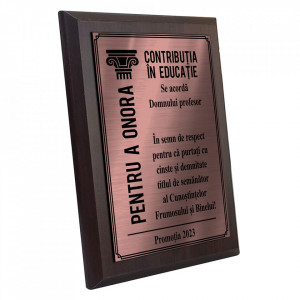 Placheta Diploma Bronz Profesor - Img 3