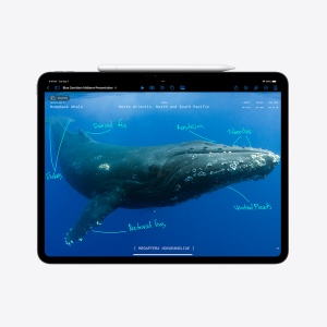 APPLE 11-INCH IPAD PRO (M4) CELLULAR 1TB WITH STANDARD GLASS - SPACE BLACK - 3