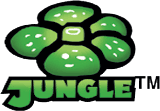 Pokémon Jungle