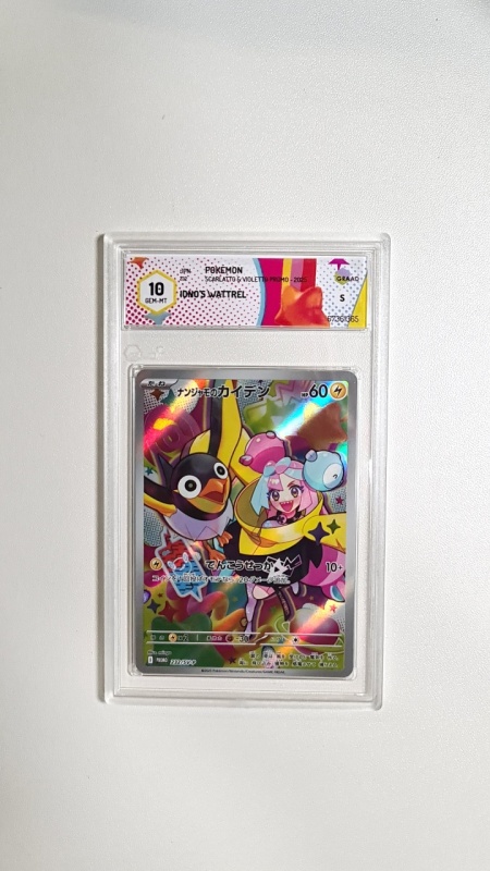 2025 ポケモン SV-P JP #232 Wattrel GEM MT 2025 Pokemon Japanese Sv-p Promo 232 Iono's Wattrel Battle