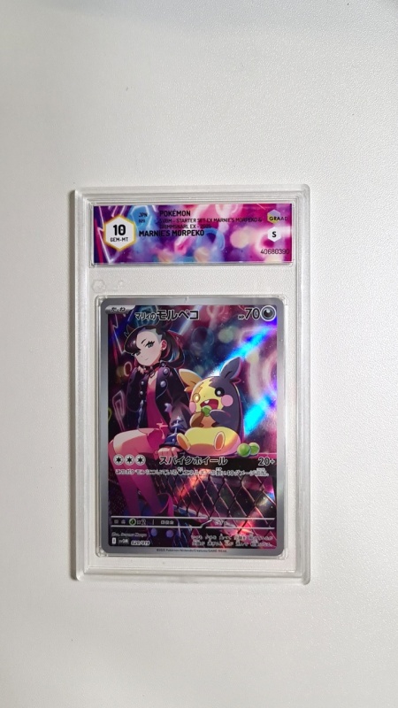 Marnie's Morpeko SR #232/SV-P GRAAD 10 Gem Mint Starter Set ex