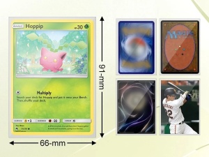Paket: TCG-pärm + set med 60 dubbelsidiga ark, 1080 fodral + 50 mjuka fodral - Img 4