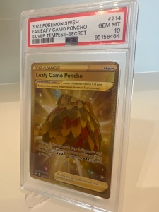 Пончо с камуфлажни листа (Секретно рядко) #214/195 PSA 10 GEM MT - Silver Tempest (SWSH12) - Img 2