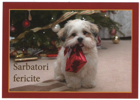 Craciun, carte postala, nou 1