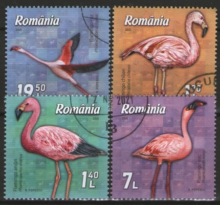 Romania 2021 - Flamingos, serie stampilata