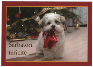 Craciun, carte postala, nou 1