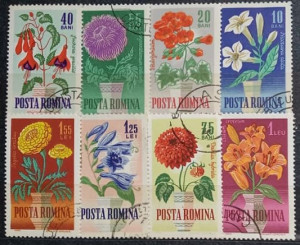 Romania 1964 - Flori de gradina, serie stampilata