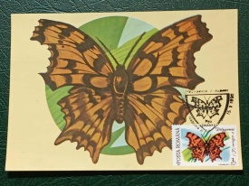 Romania 1991 - fluturi, CM 1