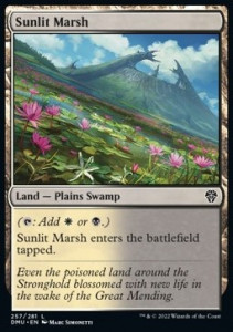 Sunlit Marsh FOIL