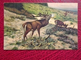 Pictura de C. Drathmann - Provocare, vedere litho Stengel