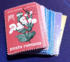 Romania 1970 - Flori de stepa, serie stampilata - Img 2