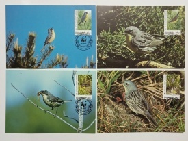Bahamas 1995 - Pitulicea lui Kirtland, serie CarteMaxima