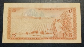 Kenya 1975 - 5 shillings, VF - Img 2